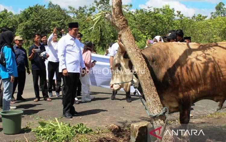 Pemkab Pulang Pisau Terima 35 Hewan Kurban Bantuan Pemprov Kalteng