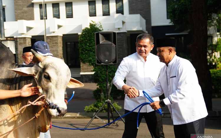 TNI AD Sediakan 3.417 Hewan Kurban untuk Masyarakat