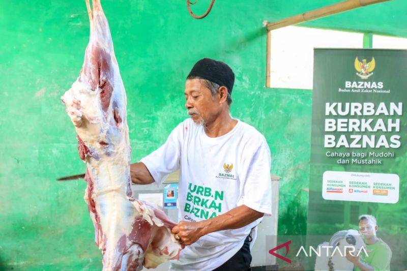 Kurban Berkah Baznas 2025 Serentak Digelar di 43 Titik se-Indonesia