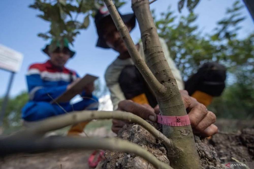 DLH Kalteng Ajak Masyarakat Terapkan Gaya Hidup Ramah Lingkungan