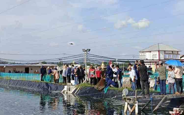 Shrimp Estate Sukamara Diarahkan Jadi Model Budidaya Udang Terpadu