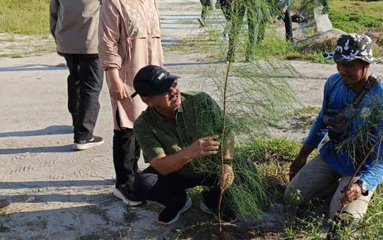 Pemprov Kalteng Tanam Pohon di Kawasan Shrimp Estate Sukamara