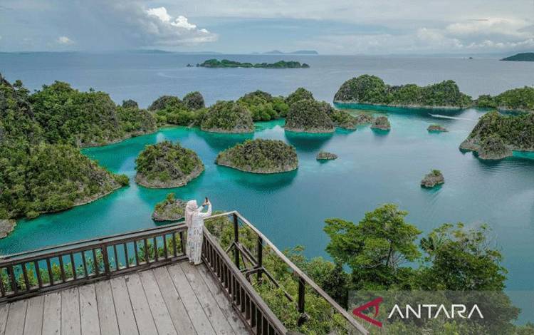 KLH Tindak Lanjuti Tambang Raja Ampat Lindungi Biodiversitas Dunia