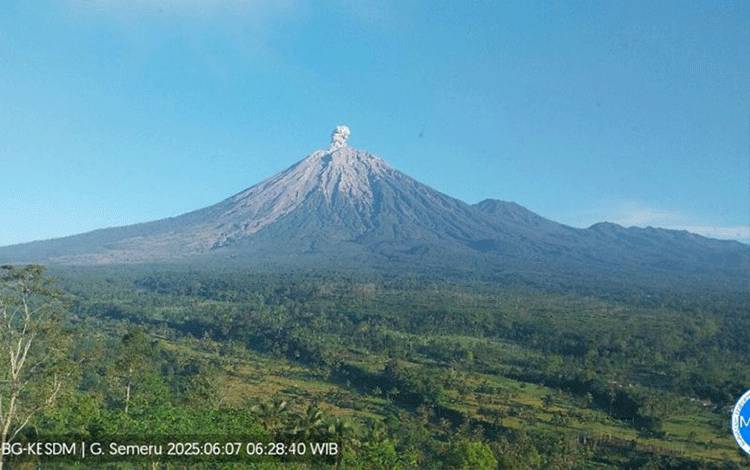 Arsip foto: Gunung Semeru erupsi ANTARA/HO-PVMBG