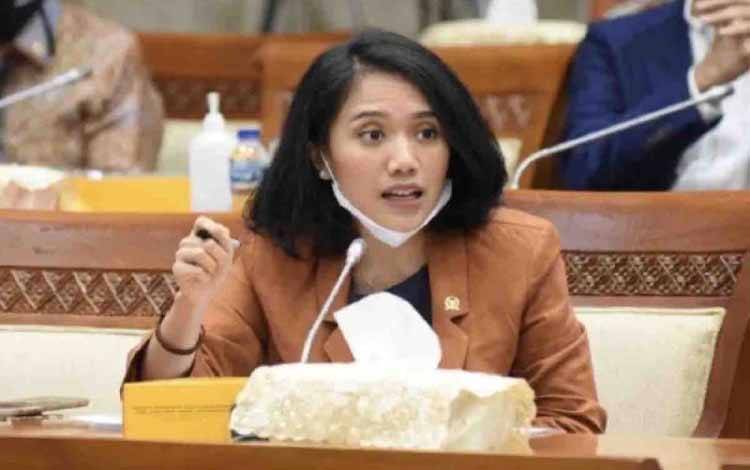 Anggota DPR: Prabowo Cabut Izin Tambang Bukti Tak Toleransi Pelanggar