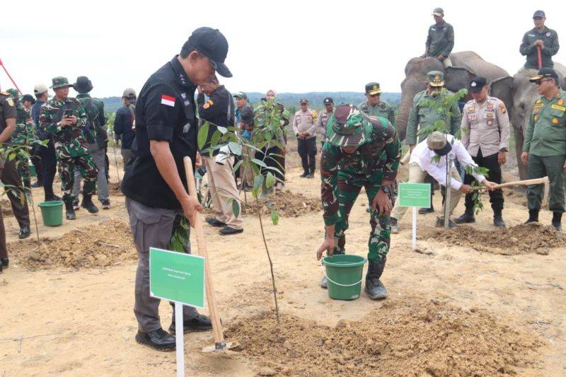 Satgas PKH Kuasai Kembali 1 Juta Hektare Lahan, dari Kalteng 400 Ribu Hektare