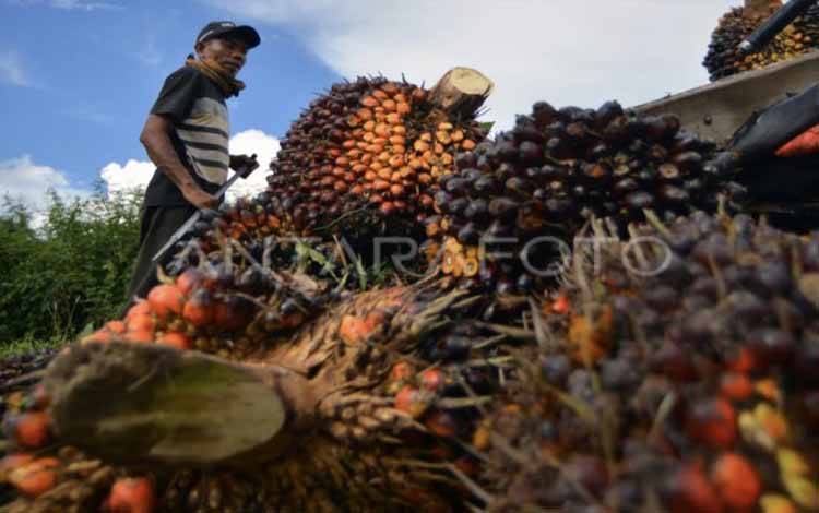 DPMPTSP: Realisasi Investasi Kalteng Triwulan I Capai Rp7,16 Triliun