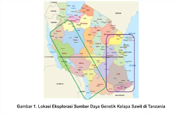 Eksplorasi Sumber Daya Genetik Kelapa Sawit Indonesia ke Tanzania untuk Keberlanjutan Industri