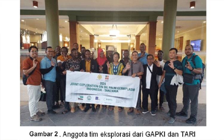 Eksplorasi Genetik Kelapa Sawit di Tanzania Mengungkap Keanekaragaman dan Potensi Baru