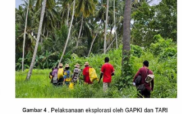 Kolaborasi Indonesia-Tanzania Perkuat Penelitian Kelapa Sawit untuk Keberlanjutan Industri