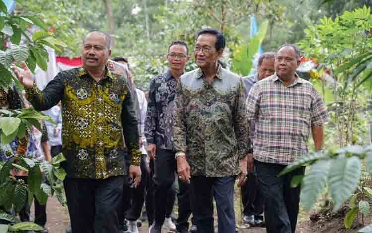 Gubernur DIY Sri Sultan Hamengku Buwono X bersama Dirjen Perkebunan Kementan Heru Tri Widarto dan Bupati Sleman Harda Kiswaya melakukan panen perdana kopi robusta di kawasan lereng Gunung Merapi, Dusun Ploso Kerep, Cangkringan, Sleman, Minggu (15/6/2025). ANTARA/HO-Bagian Prokopim Setda Sleman