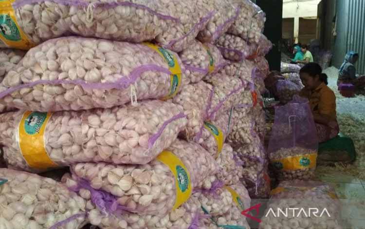 Kemendag: Realisasi Impor Bawang Putih Capai 163 Ribu Ton