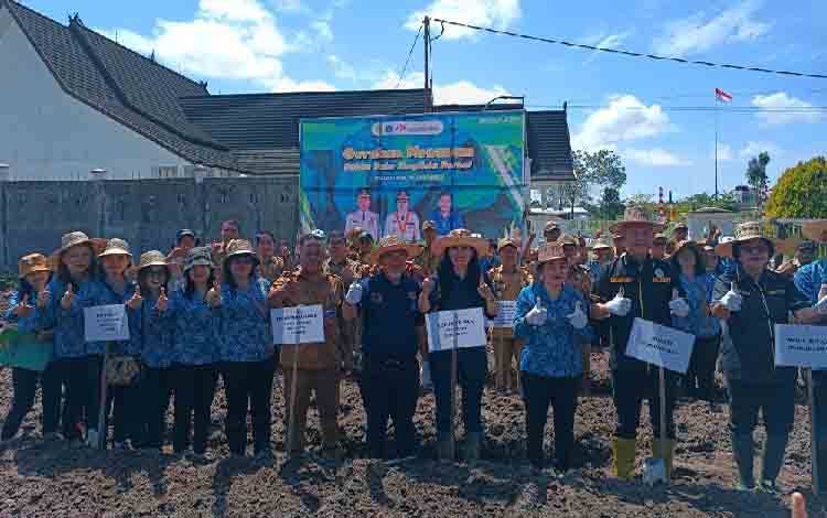 Bupati - Wakil Bupati Gunung Mas Ikut Tanam Perdana Kencur di Kebun PKK