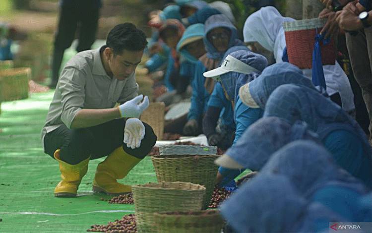 Wapres Gibran: Indonesia Produsen Kopi Terbesar Keempat di Dunia