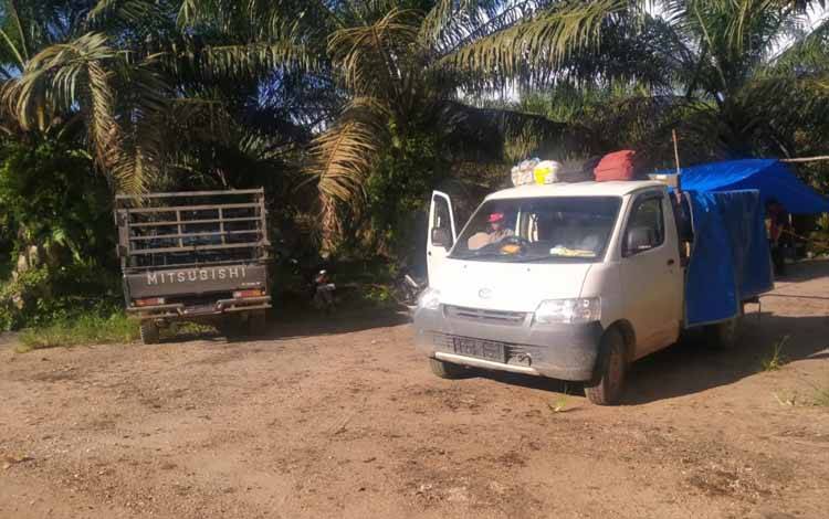Pendudukan dan Penjarahan di Kebun Sawit PT MAP, Pemkab Kotim dan Aparat Diminta Bertindak