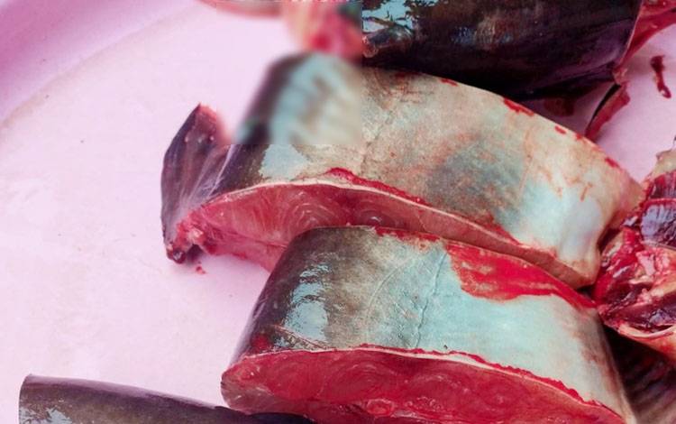 Kepala BI Kalteng: Gemar Makan Ikan Cegah Stunting, Budidaya Ikan Dorong Ekonomi Masyarakat