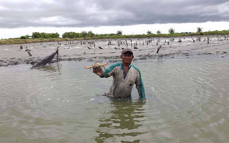 Sambil Menunggu Panen Bandeng, Warga Seruyan Raup Cuan dari Udang dan Kepiting