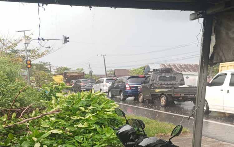 Cuaca Buruk Sebabkan Jalan Trans Kalimantan Sempat Macet Akibat Pohon Tumbang