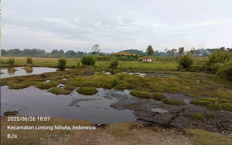 Warga Lintong Nihuta Usulkan Rehabilitasi Rawa Gambut Jadi Embung Multifungsi