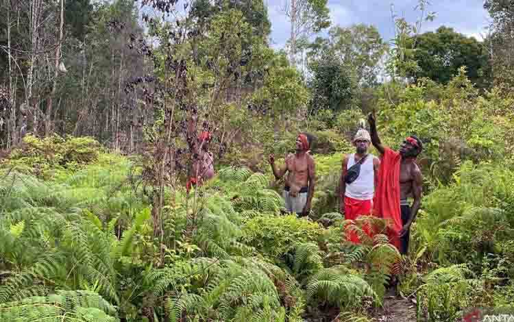 Kemenhut: 14 Lokasi Tengah Berproses untuk Penetapan Hutan Adat