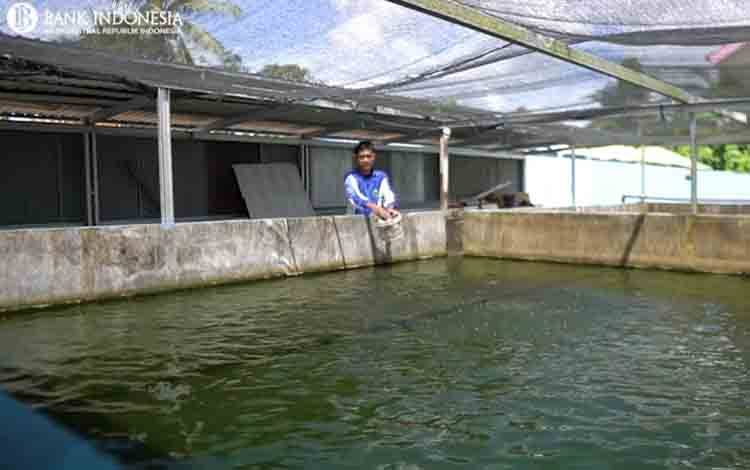 Yayasan Al Amin Kembangkan Budidaya Air Tawar dan Olahan Pangan Ringan