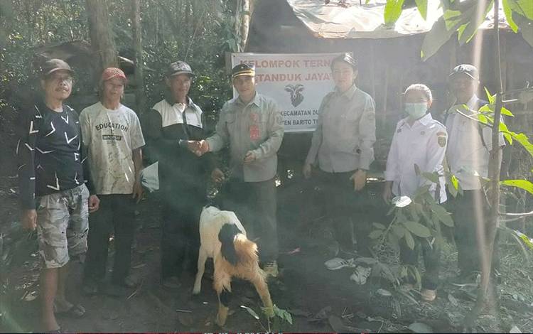 Dinas Peternakan Bartim Salurkan Bantuan Kambing Etawa ke Kelompok Ternak di Dorong