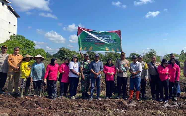 GAPKI Dukung Ketahanan Pangan Lewat Tanam Jagung di Palangka Raya