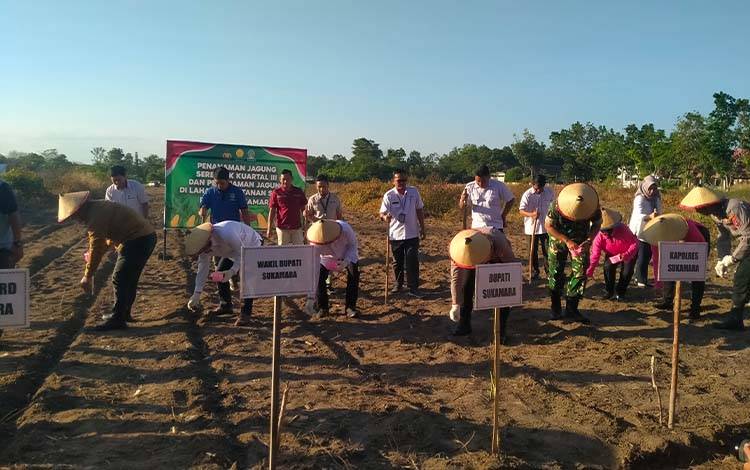 Pemkab Sukamara Akan Siapkan Lahan Jagung