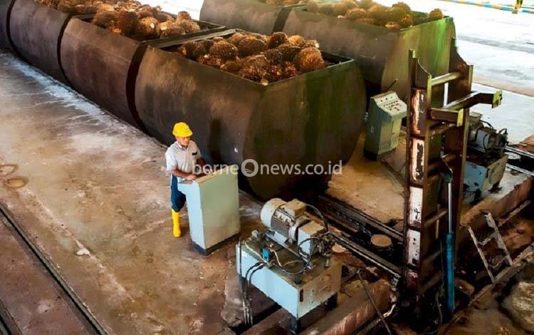 Indonesia Perkuat Komitmen Biodiesel untuk Capai Emisi Nol pada 2060