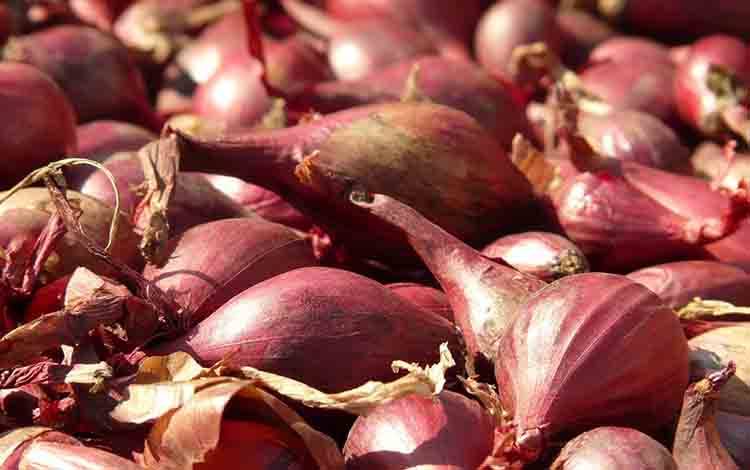Harga Bawang Merah di Kobar Turun, Beras dan Besi Naik
