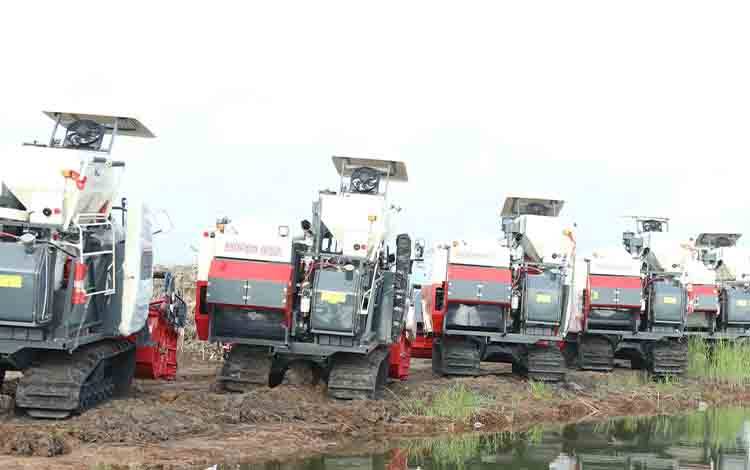 Progres Cetak Sawah Kalteng Capai 67 Ribu Hektar, Pemprov Susun Jadwal Ulang