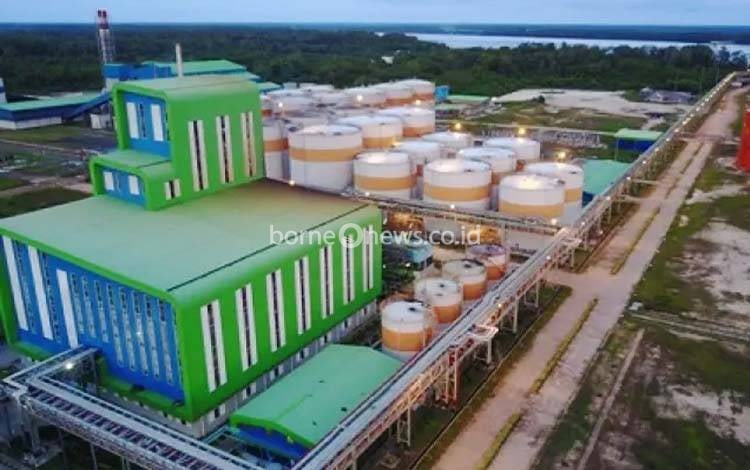 Wujudkan Koperasi Sekunder Kobar, Harap Dukungan Pemerintah Bangun Pabrik Kelapa Sawit