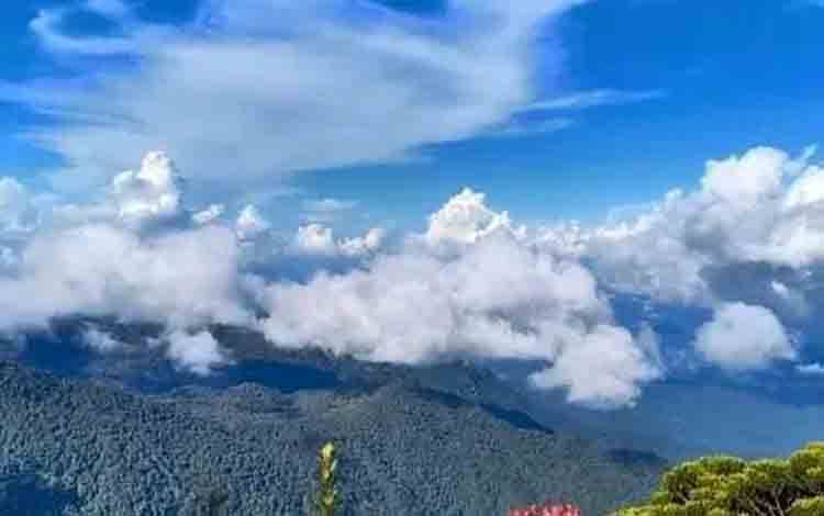Pemandangan dari Puncak Gunung Bukit Raya, Kalimantan Tengah. (FOTO: IST)