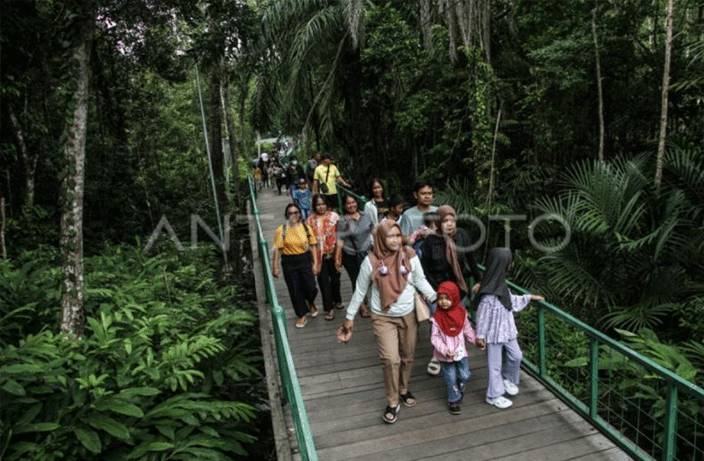 Kalteng Sudah Terima Rp110 Miliar DBH Kehutanan untuk Pembangunan