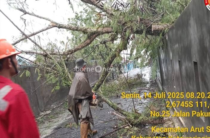Hujan Deras Sebabkan Banjir dan Pohon Tumbang di Kobar, BPBD Lakukan Penanganan di Sejumlah Titik