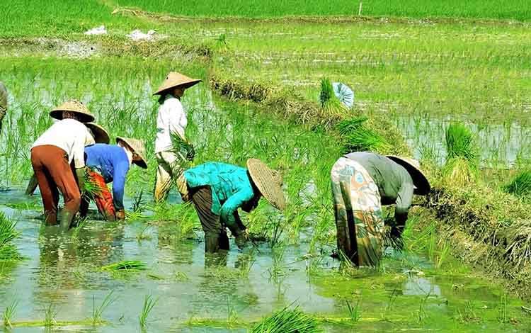 Gubernur Kalteng Agustiar Sabran Tegaskan Komitmen Dukung Petani