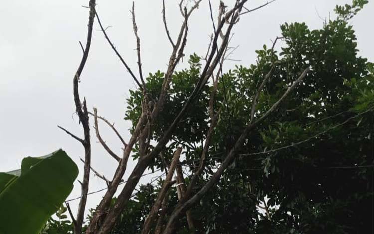 Kuala Kapuas dan Sekitar Dilanda Cuaca Buruk