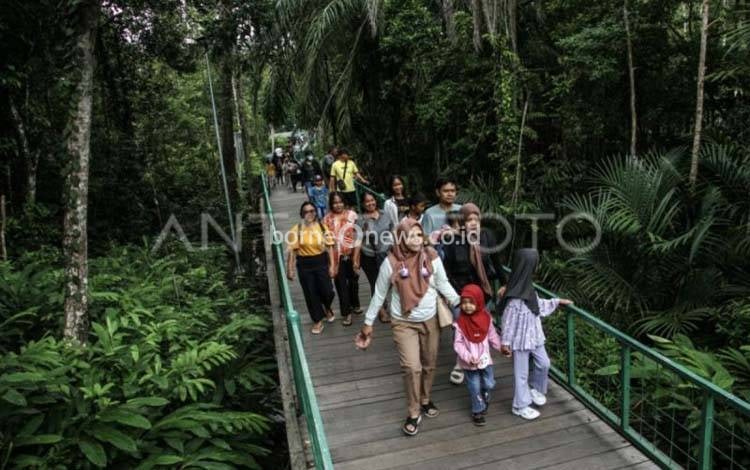 Kalteng Sudah Terima Rp110 Miliar DBH Kehutanan, Gubernur Dorong Optimalisasi Pendapatan Daerah