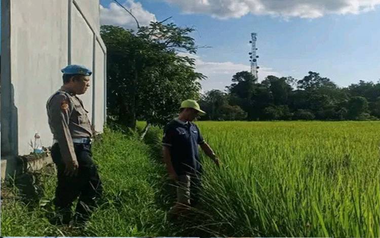 Polsek Kapuas Murung Jadi Mitra Warga Kembangkan Lahan