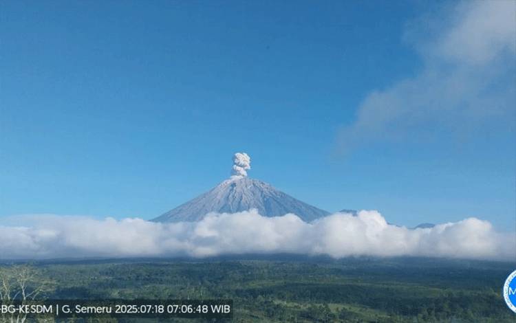 Gunung Semeru Lima Kali Erupsi Dengan Tinggi Letusan 700 meter
