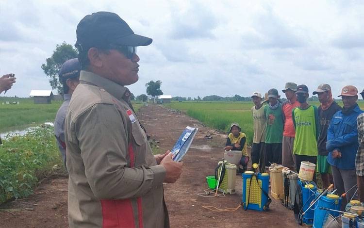 Kepala BPTPH Alpan Samosir saat pertemuan Gerdal di lapangan. (FOTO:DINAS TPHP KALTENG)