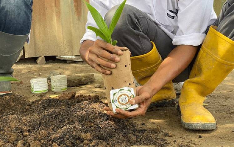 Inovasi Paper Bag Biodegradable Jadi Terobosan Pengganti Polybag Plastik di Industri Sawit