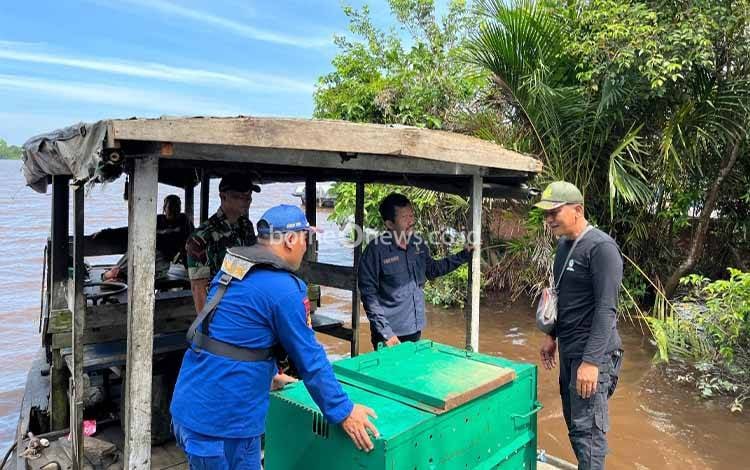 BKSDA Sampit Siap Pasang Perangkap di Lokasi Kemunculan Beruang Madu di Desa Bapanggang Raya