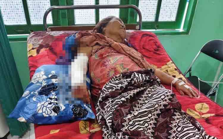 Seorang Nenek di Bagendang Permai Disambar Buaya saat Aktivitas di Sungai