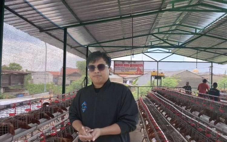 Usaha Ayam Petelur, Pilihan Stabil Onata Susilo Optimalkan Peluang Ketahanan Pangan