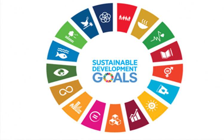 Lokakarya SDGs Perkuat Peran Daerah Wujudkan Pembangunan Inklusif