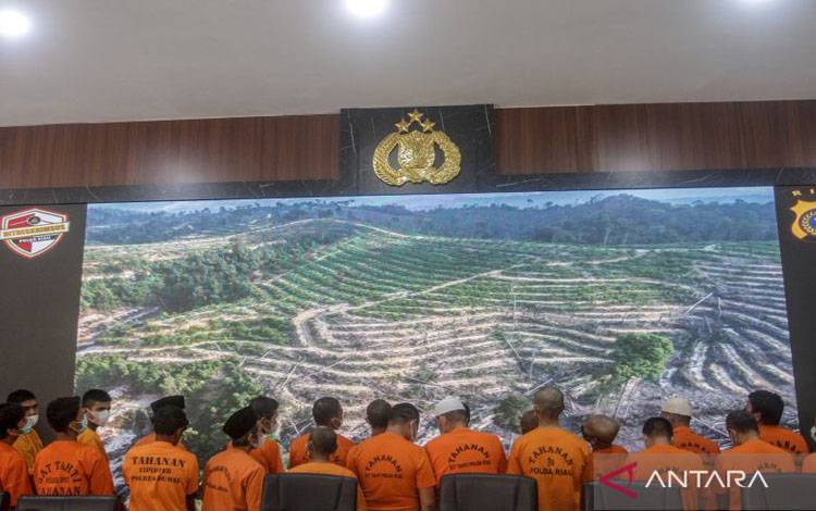 BNPB: 44 Orang Ditetapkan Tersangka Kasus Karhutla di Riau