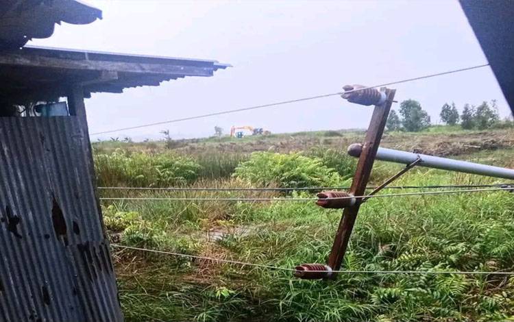 Tiang Listrik Roboh di Kapuas Murung Akibat Angin Kencang dan Hujan Deras
