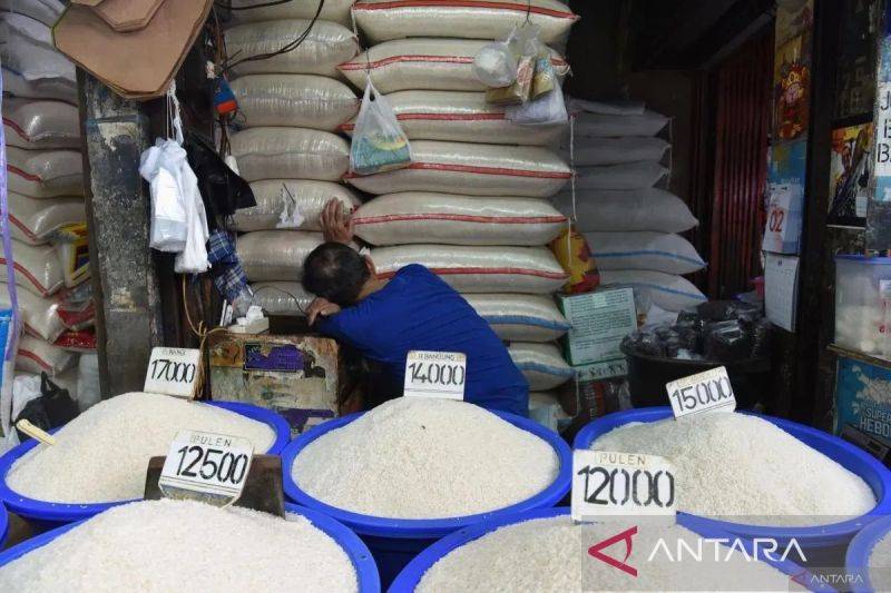 Indef Sebut Praktik Oplos Beras Bahayakan Stabilitas Sosial