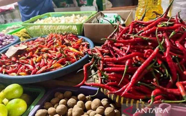 Selain Cabai Rawit Merah, Harga Komuditas di Kotawaringin Barat Stabil